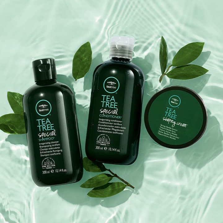 Tea Tree Shampoo und Conditioner auf grünem Hintergrund